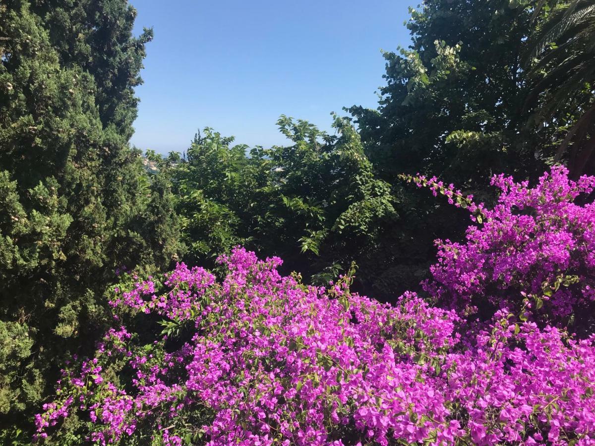 Сasa de vacaciones Lou Naouc Grasse